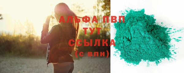 трава Белокуриха