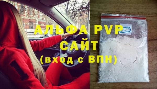 трава Белокуриха