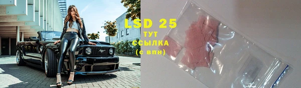 трава Белокуриха
