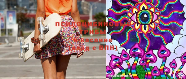 трава Белокуриха