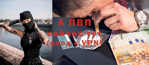 трава Белокуриха