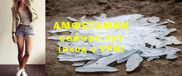 трава Белокуриха