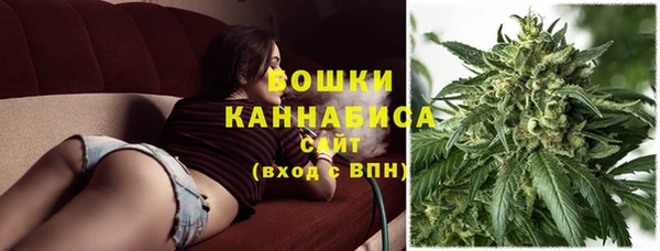 трава Белокуриха