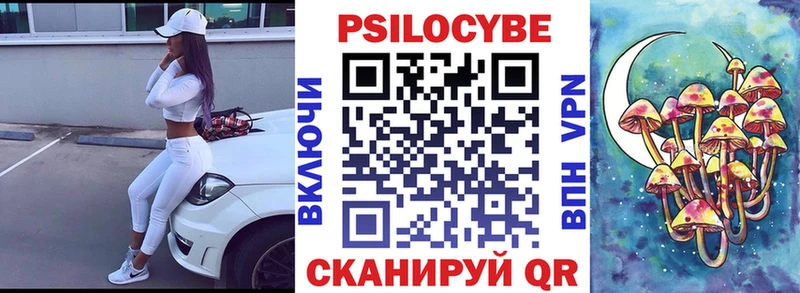 Псилоцибиновые грибы Cubensis Горячий Ключ